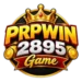 PRPWIN2895 Game